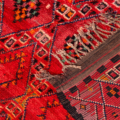 Damya Rug - Photo 2
