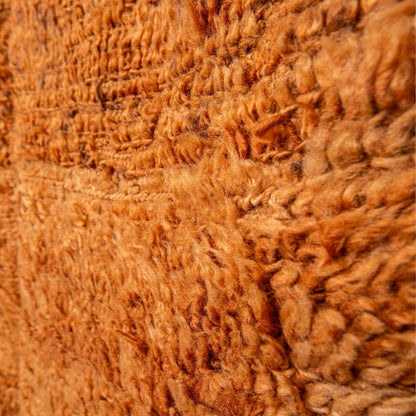 Luna Rug - Photo 3