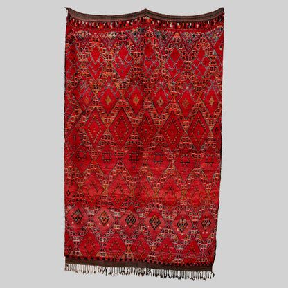 Damya Rug - Photo 1