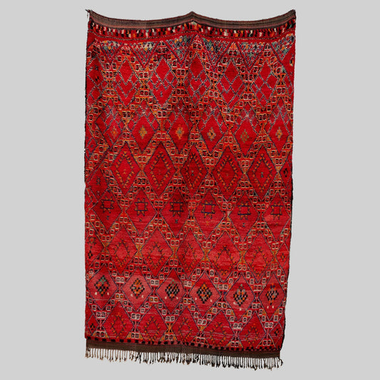 Damya Rug - Photo 1
